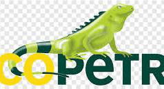 ecopetrol senpro